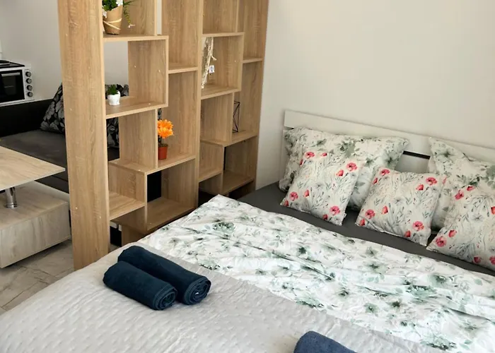 Dream мечта * Слънчев бряг